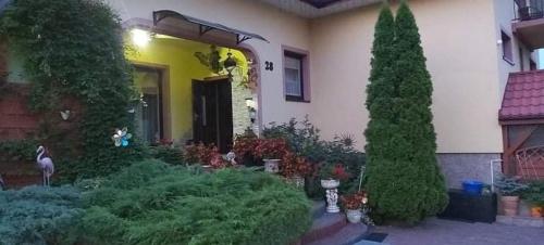 Κήπος έξω από το Noclegi U Waldiego