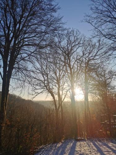 a snowy road with the sun shining through trees at Sunclass Durbuy Chalet 98 Woody in Durbuy