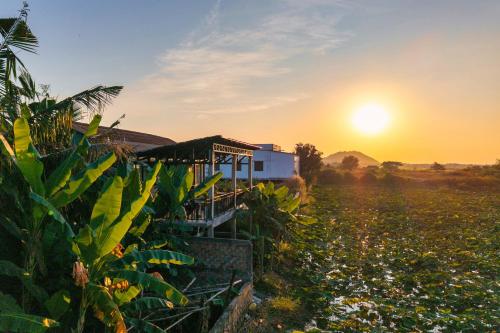 a house in a field with the sunset in the background at Pomelo Outpost Cambodia ដំណាក់ភ្នំក្រោម in Phumĭ Rœssei Lŭk