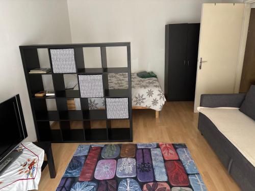 un salon avec un canapé et un tapis dans l'établissement Strasbourg - Studio agréable - Proche La Petite France, à Strasbourg