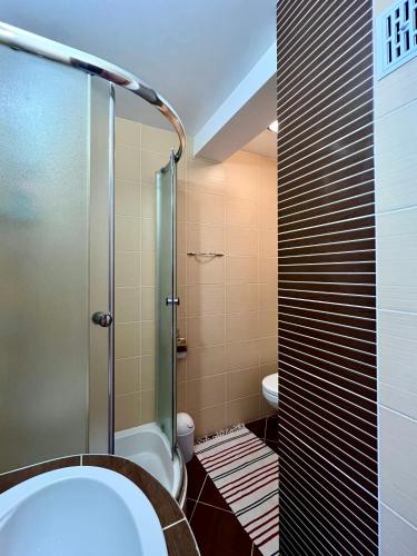 a bathroom with a shower and a toilet at Apartament Topolowa 2 in Dębki