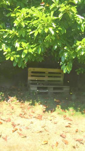 a bench sitting under a tree in the shade at Studio confort Plouédern 20 m² avec jardin clos in Plouédern