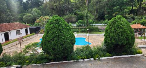 two large trees in a yard with a pool at Hotel Floresta in Poços de Caldas