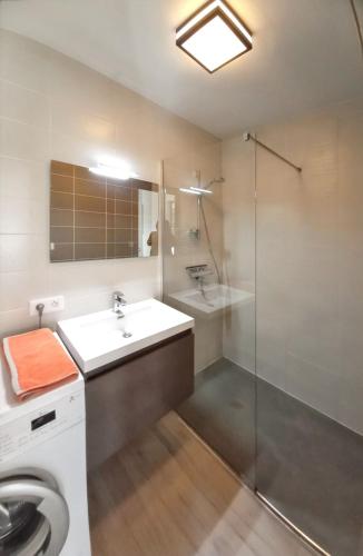 une salle de bain avec un lavabo et une douche dans l'établissement Appartement charmant à Chambéry de 35 m² + balcon privatif, à Chambéry