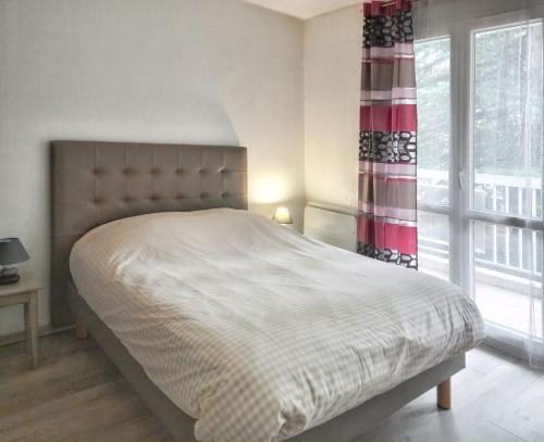 une chambre avec un grand lit et une fenêtre dans l'établissement Appartement charmant à Chambéry de 35 m² + balcon privatif, à Chambéry