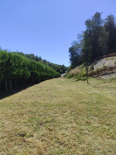 a field of grass with trees in the distance at Cabaña del Llicanko in Achao