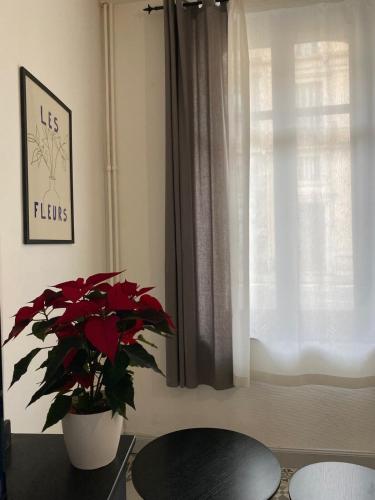 Photo de la galerie de l'établissement Carcassonne Bastide 1, à Carcassonne