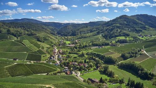 an aerial view of a vineyard in the hills at Hotel Rebstock Durbach in Durbach
