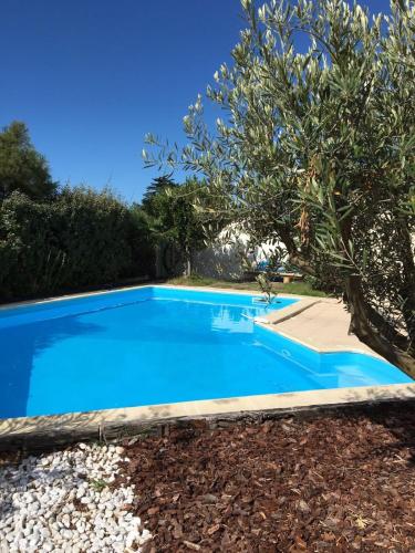 une piscine bleue avec un arbre à côté dans l'établissement 338 LES DUNES - face plage - classé 3 étoiles, au Bois-Plage-en-Ré