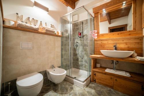 a bathroom with a toilet and a shower and a sink at Chalet sulle piste da sci con Garage a Limone 1400 in Limone Piemonte