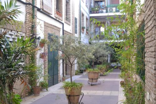 Une allée avec des plantes et des bancs dans un bâtiment dans l'établissement Apartamento en Casco Histórico, à Cordoue