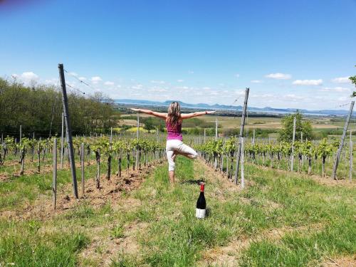 a woman standing in a vineyard with a bottle of wine at Sailor Apartman Balatonlelle in Balatonlelle