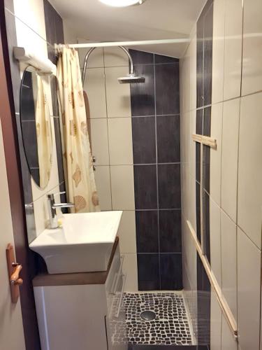 une salle de bain avec un lavabo et une douche dans l'établissement Appartement charmant à Roanne, terrasse, à Roanne