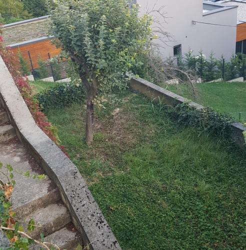 a tree in the grass next to some stairs at Nad Tunelom Studio hosted by family in Zagreb