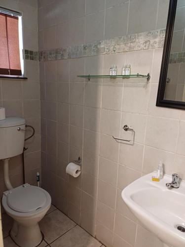 a bathroom with a toilet and a sink at Orchard Guesthouse in Bloemfontein