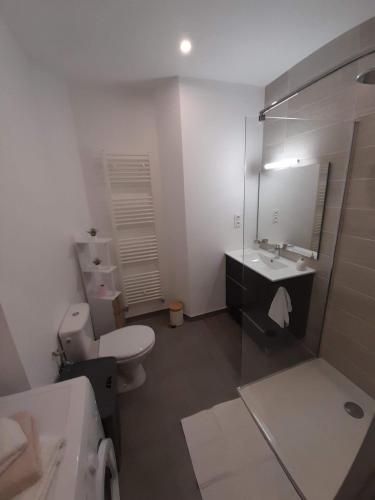une salle de bain avec toilettes, lavabo et miroir dans l'établissement T2 Spacieux et Confortable, à Mulhouse
