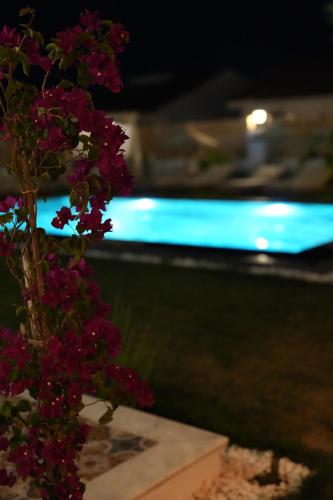 Πισίνα στο ή κοντά στο Villa Egella