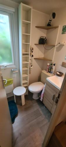 une petite salle de bain avec toilettes et lavabo dans l'établissement ESTEREL le Montourey FRÉJUS, à Fréjus