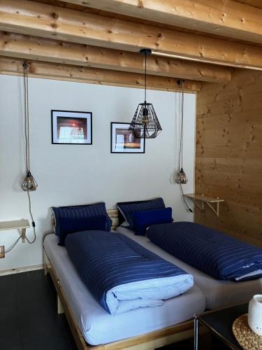Chalet Alpina Gyger