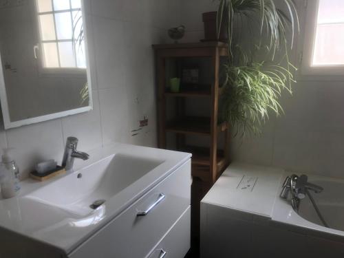 La salle de bains est pourvue d'un lavabo blanc et d'une plante. dans l'établissement La Cocadière, au Château-dʼOléron