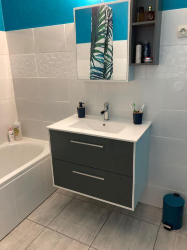 une salle de bain avec un lavabo et une baignoire dans l'établissement Entre mer et montagne à BANYULS-SUR-MER, à Banyuls-sur-Mer