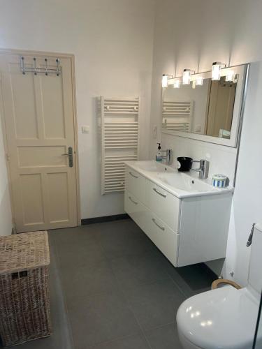 une salle de bain avec un lavabo, des toilettes et un miroir dans l'établissement Grande maison de village, à Olmeto