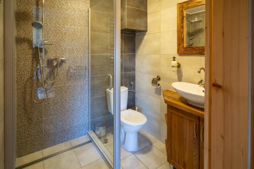 a bathroom with a shower and a toilet and a sink at Maniówka - pokoje i domki w Bieszczadach in Maniów