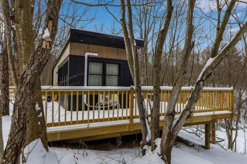 a cabin in the woods in the snow at Modern Tiny Home Wraparound Deck in Great Valley
