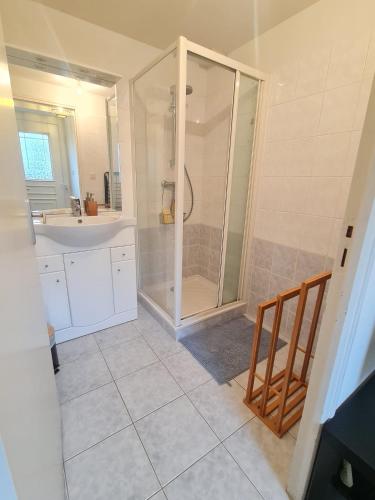 une salle de bain avec douche et lavabo dans l'établissement Appartement familial tout équipé, à Angers