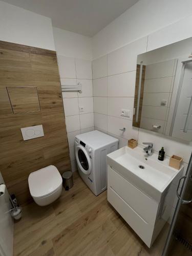 a bathroom with a white toilet and a sink at Apartmán Mariánská Hora in Albrechtice v Jizerských horách