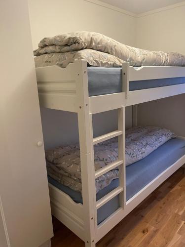 a couple of bunk beds in a room at Apartment Sjusjøen in Sjusjøen