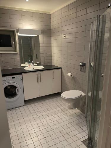a bathroom with a toilet sink and a washing machine at Apartment Sjusjøen in Sjusjøen