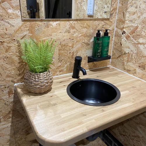 a bathroom sink with a plant and a mirror at Broadleaves Luxury Glamping in Ticknall