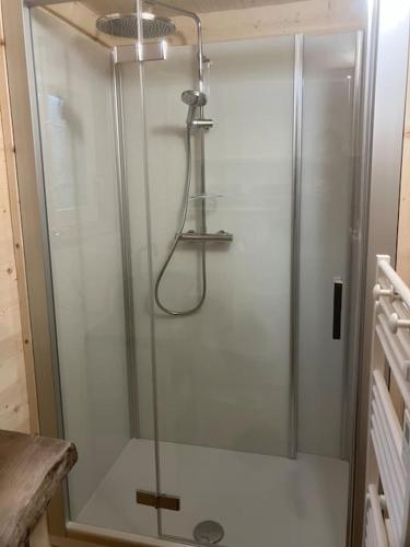 une douche avec une porte vitrée dans une salle de bain dans l'établissement Cabane Insolite de la Semine, à La Pesse