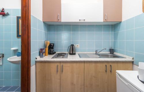 ヤドラノボにあるApartments Mare Jadranovoの青いタイル張りのキッチン(シンク、カウンター付)
