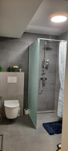 a bathroom with a shower and a toilet in it at Villa Erdődy Resort - Apartmán U veveričky in Oravská Lesná