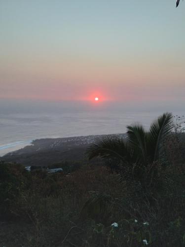 a sunset over the ocean with a palm tree at case ti kaf in Saint-Leu