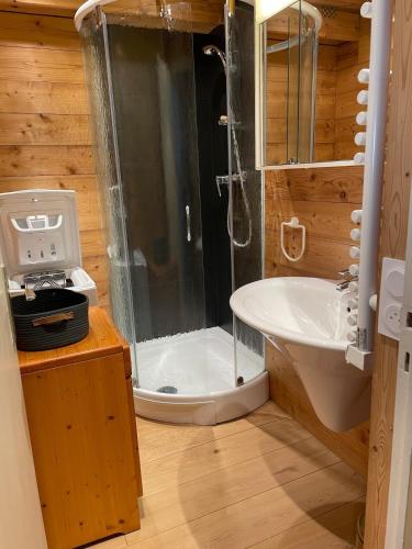 une salle de bain avec une douche, des toilettes et un lavabo dans l'établissement Alpe d 'Huez - Le Majestic, à Huez