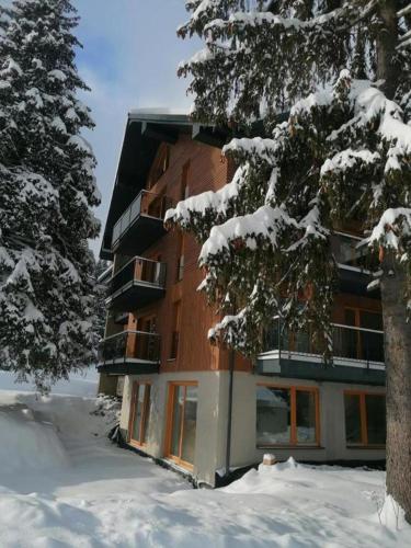 Villa Erdődy Resort - Apartmán U veveričky