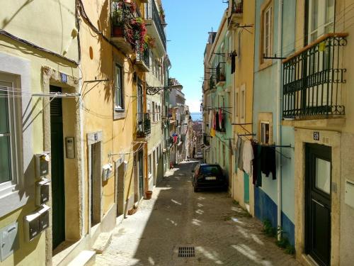 Martim Vaz II - Downtown