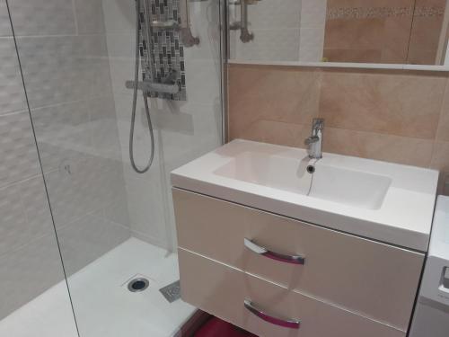 une salle de bain avec un lavabo et une douche dans l'établissement coin de paradis, à La Londe-les-Maures