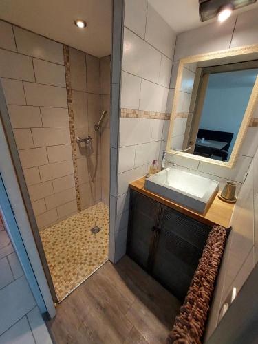 une salle de bain avec une douche, un lavabo et un miroir dans l'établissement Soleil de Provence, à Nyons
