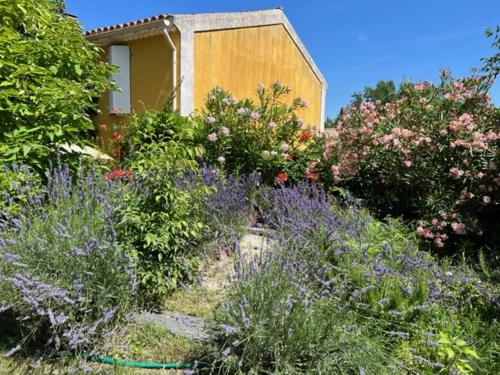 Un jardín con flores y plantas frente a una casa. en Mas de silvacane, en La Roque-d'Anthéron