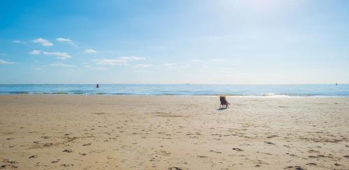 a person standing on a beach near the ocean at Suites aan Zee in Vlissingen