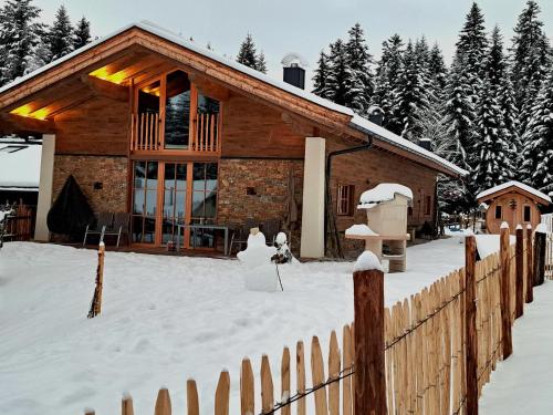 冬のAlmchalet Weberhofの様子