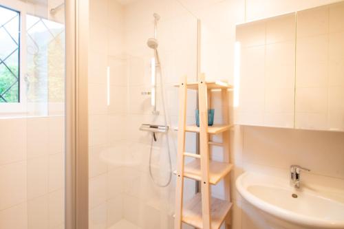 a bathroom with a shower with a wooden ladder at Leischerei in Hinterstoder
