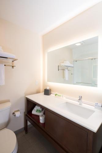 a bathroom with a sink and a toilet and a mirror at Holiday Inn - Kalamazoo West by IHG in Kalamazoo