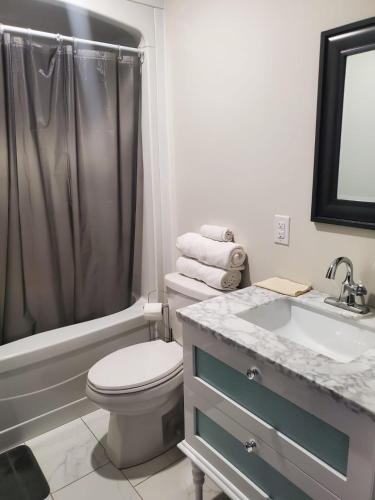 a bathroom with a toilet and a sink and a shower at Brand new entire basement suit in Moncton