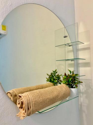 a mirror on a wall with a towel and plants at Loft teba near Tapachula airport in Tapachula