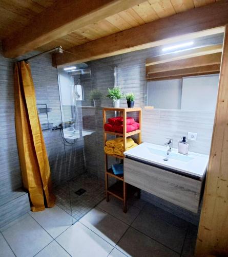 une salle de bain avec un lavabo et une douche dans l'établissement Color Lodge - Appartement au centre historique - 4 personnes, à Wissembourg